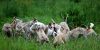 DSC_0206~9.jpg