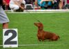 DSC_0207~7.jpg