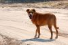 DSC_0208~0.jpg