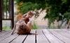 DSC_0208~10.jpg