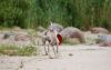 DSC_0208~11.jpg