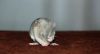 DSC_0208~3.jpg
