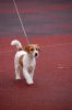 DSC_0208~9.jpg