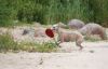 DSC_0209~12.jpg