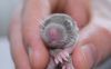 DSC_0209~6.jpg
