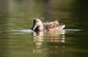 DSC_0213~6.jpg