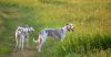 DSC_0214~13.jpg