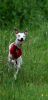 DSC_0215~11.jpg