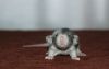 DSC_0215~6.jpg