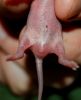 DSC_0216~2.jpg