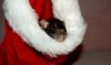 DSC_0217~3.jpg