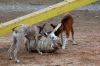 DSC_0219~9.jpg
