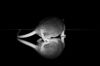 DSC_0222~6.jpg