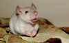 DSC_0224~12.jpg