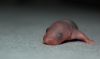 DSC_0224~4.jpg