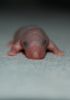 DSC_0225~3.jpg