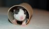 DSC_0225~5.jpg