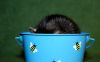 DSC_0226~11.jpg