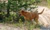 DSC_0227~3.jpg