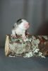 DSC_0228~3.jpg