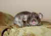 DSC_0228~7.jpg