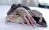 DSC_0229~10.jpg