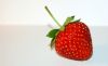 DSC_0235~5.jpg
