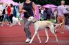 DSC_0239~12.jpg