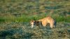 DSC_0241~6.jpg