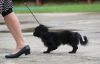 DSC_0242~10.jpg