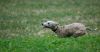 DSC_0245~10.jpg
