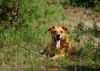 Filename=DSC_0245~2.jpg
Filesize=251KiB
Dimensions=1200x854
Date added=Jul 29, 2012 DSC_0245~2.jpg