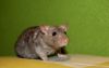 DSC_0245~7.jpg