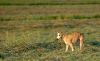 DSC_0248~10.jpg