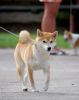 DSC_0248~8.jpg