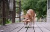 DSC_0248~9.jpg
