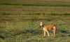 DSC_0249~11.jpg