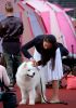 DSC_0252~10.jpg