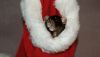 DSC_0253~5.jpg