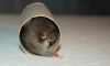 DSC_0254~6.jpg