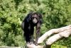 DSC_0256~1.jpg