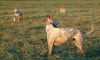 DSC_0256~14.jpg