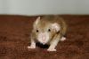 DSC_0262~7.jpg