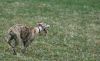 DSC_0265~4.jpg