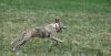 DSC_0266~6.jpg