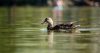 DSC_0267~3.jpg