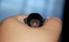 DSC_0269~6.jpg