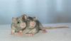 DSC_0270~4.jpg