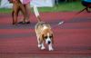 DSC_0270~7.jpg