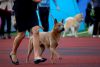 DSC_0273~6.jpg